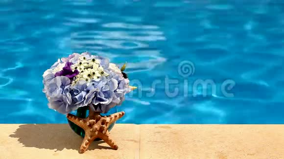 概念背景夏季游泳池花卉和海星贝壳视频的预览图