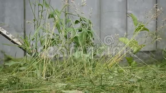 慢动作一个人在花园里割草视频的预览图