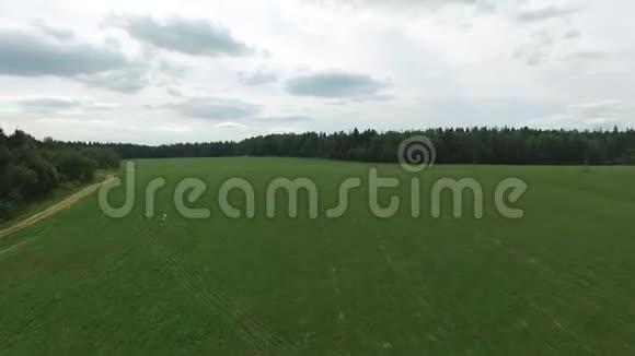 鸟瞰绿野湖用绿草和小湖飞过田野近森林的空中勘测视频的预览图