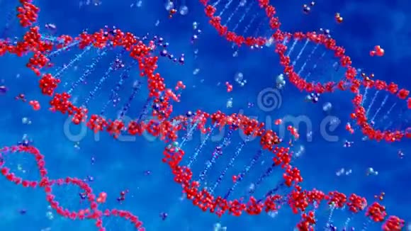 DNA链在抽象的背景上旋转视频的预览图