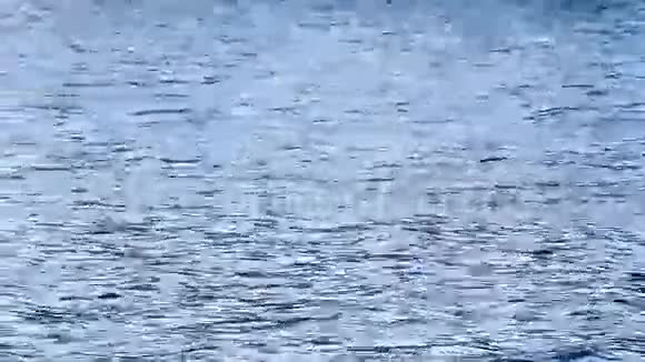 水面池塘河流大海上的小浪视频的预览图