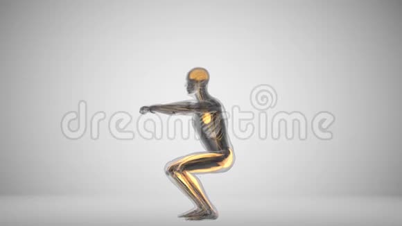x光仰卧起坐期间的肌肉活动视频的预览图
