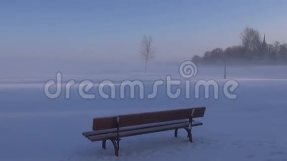 冬天公园的雾和孤独的树视频的预览图
