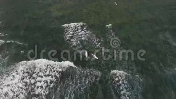 空中观景冲浪者在波浪上菲律宾卡坦杜内斯视频的预览图