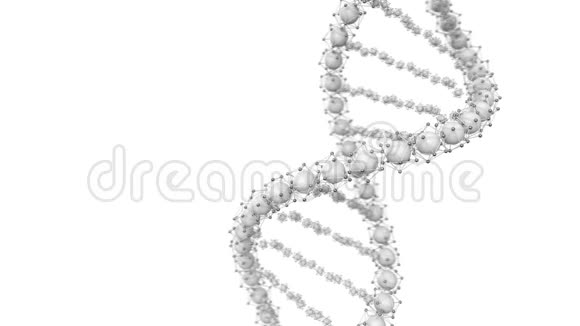 动画循环DNA链模型3D视频的预览图