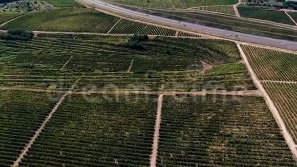 从无人驾驶飞机上看到的葡萄园山和公路视频的预览图