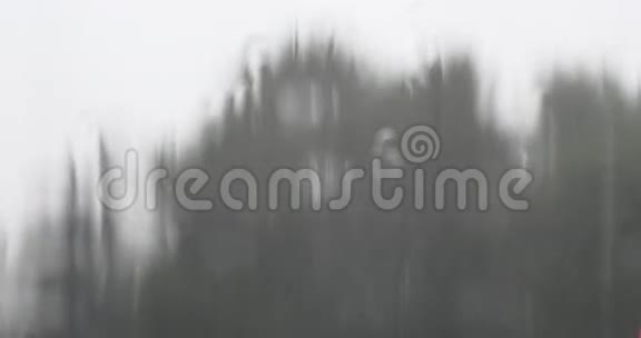 窗外的雨滴摇曳的树视频的预览图