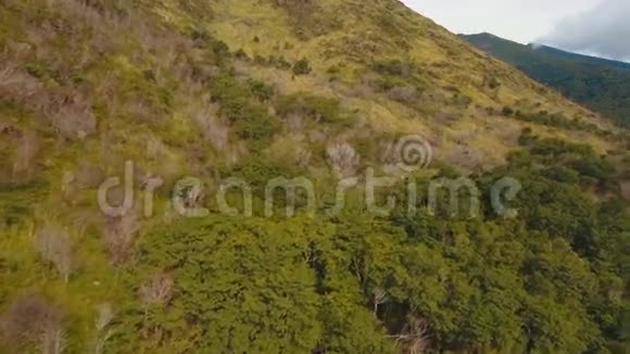 山坡上的树木和植被菲律宾Camiguin岛视频的预览图