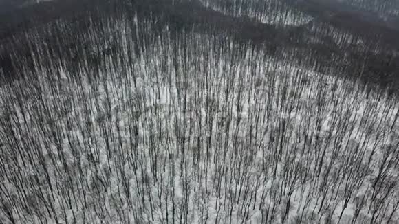 冬季森林空中飞行无人机足迹雪冬森林空中视频的预览图