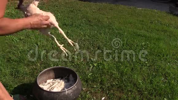 女人准备鸡肉做食物在黑碟里放羽毛视频的预览图