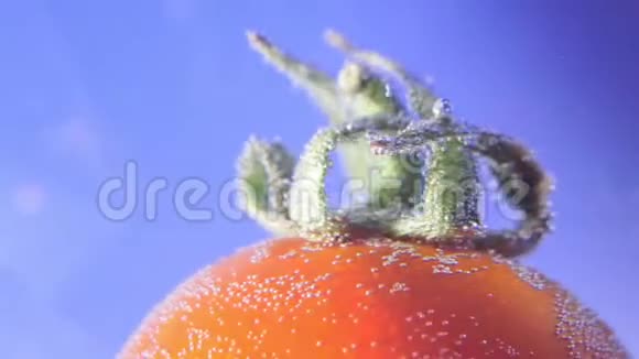 水中番茄新鲜蔬菜宏视频的预览图