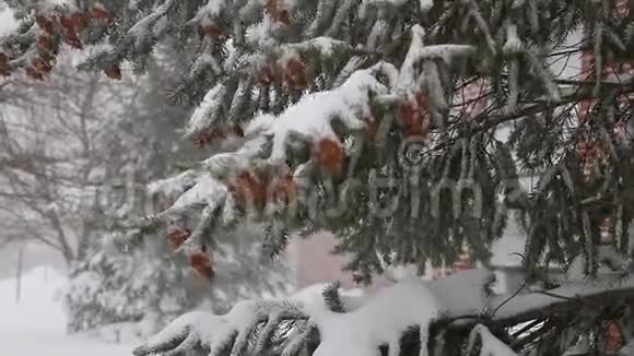 暴风雪乔纳斯暴风雪视频的预览图
