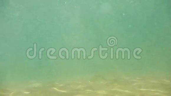 水下浅海海水太阳光线折射视频的预览图