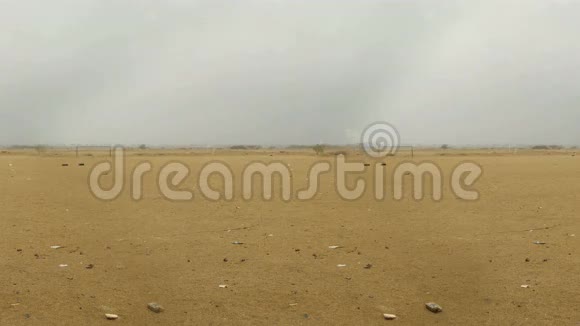 多云天空下的沙地视频的预览图