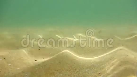 太阳光线折射的水下抽象背景视频的预览图