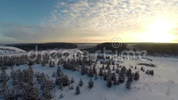 空中观景日落黄昏森林森林景观视频的预览图