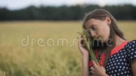 美丽的少女麦穗在麦田里视频的预览图