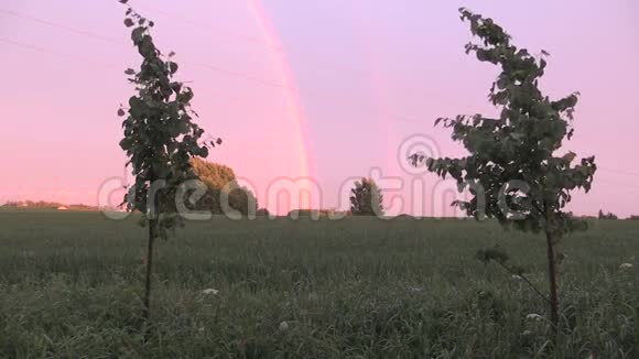 雨后黄昏玉米地下彩虹视频的预览图