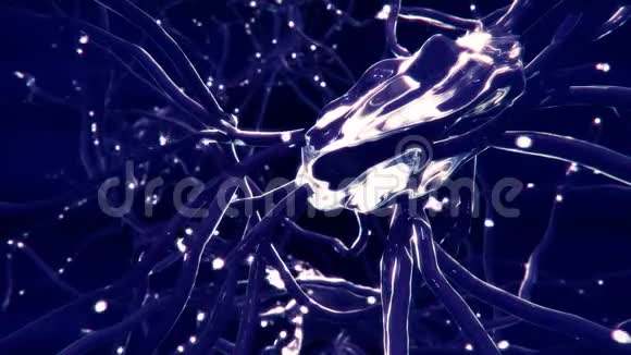 人神经元神经网络有放电突触视频的预览图