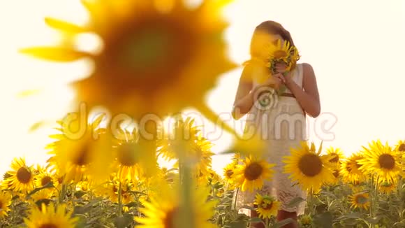 夏天快乐的小女孩在田野上闻着一朵向日葵慢动作视频站在田野里的少女视频的预览图