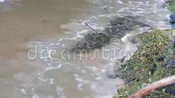 背景波来自乌克兰的脏水视频的预览图