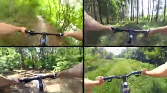 骑自行车的人在晴天骑绿色森林视频的预览图