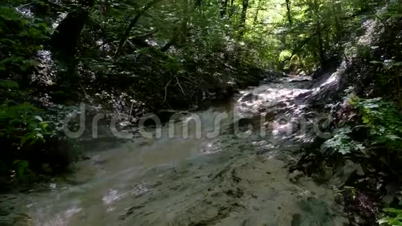 带水岩的小山河山中的河流野生动物美丽的风景自然视频的预览图