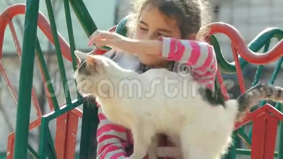 少女在户外操场抚摸一只猫视频的预览图