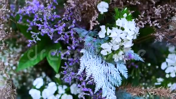 紫色和白色的花和玫瑰的婚礼粉彩浪漫的背景视频的预览图