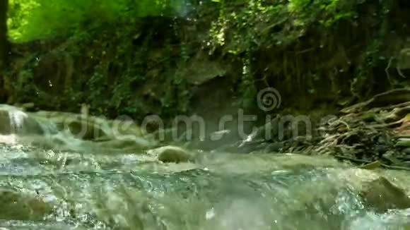 带岩石的小山河山中的河流野生动物美丽的风景自然视频的预览图