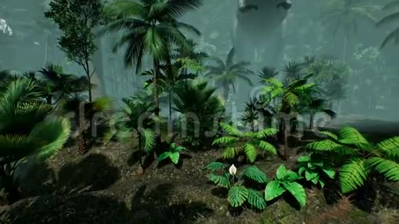 霸王龙恐龙丛林动画现实的渲染4k视频的预览图