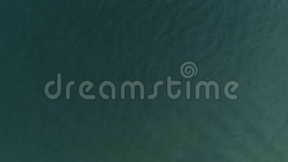 泰国珊瑚岛无人驾驶飞机在热带雨水与清澈的海水混合后将海水染成沙色视频的预览图