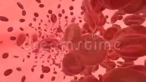 血细胞流动血栓形成视频的预览图