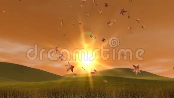 秋山树叶和日落高清循环视频的预览图