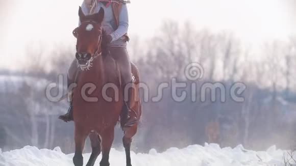 长发女骑手狂野而快速地骑着黑色的马穿过雪慢动作视频的预览图