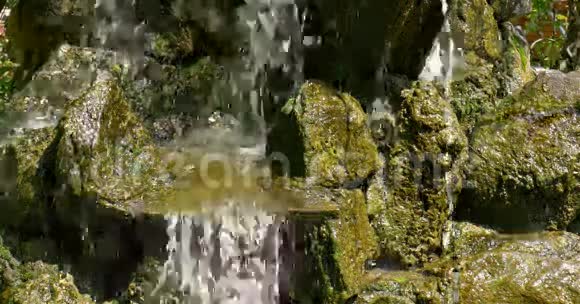 瀑布水流视频的预览图