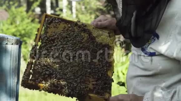 养蜂人拿着蜜蜂视频的预览图