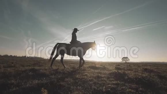 妇女骑马在田野里的剪影棕色马的漂亮女牛仔视频的预览图