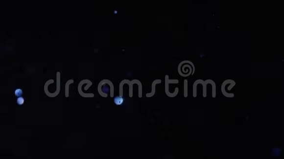 黑色背景上美丽的蓝色闪闪发光的粒子的特写库存录像孤立于黑色视频的预览图