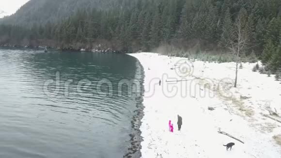 冬天海滩上的阿拉斯加人视频的预览图