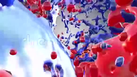 血液循环视频的预览图