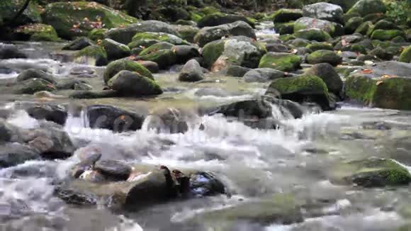 烟雾山脉中的横叉车道水域视频的预览图