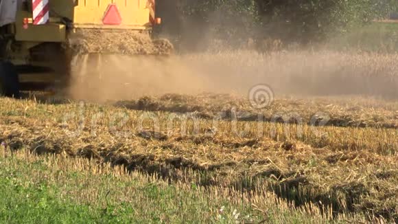 后景农场黄色收割机联合收割机在粮田工作视频的预览图