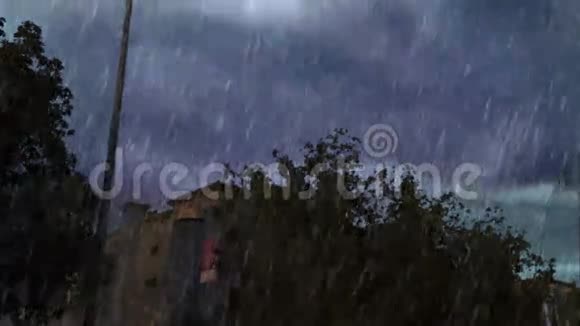 大雨莫德伦商场后面的树视频的预览图
