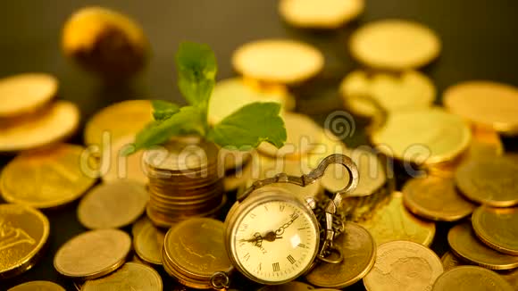 金融业务成功的时机投资商业金融理念管理效率时间就是金钱视频的预览图