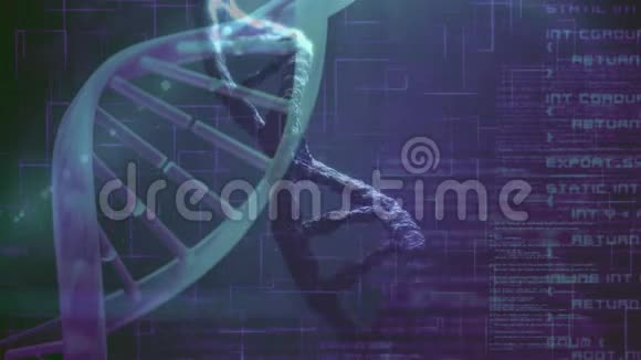 科学合成动画DNA与DNA照片结合视频的预览图