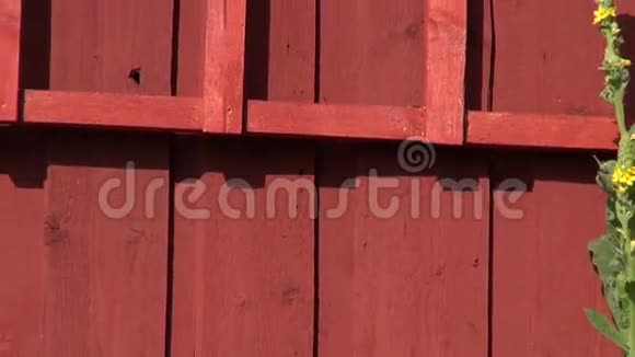 农场谷仓木墙和梯子视频的预览图