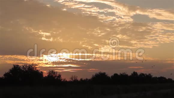 田野里五彩缤纷的夕阳野外美丽的夕阳视频的预览图