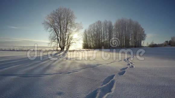 美丽的风景在冬天的雪上有脚迹时间流逝4K视频的预览图