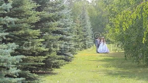 年轻的新婚夫妇在公园散步视频的预览图